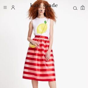 Kate Spade Awning Stripe Organza Midi Skirt size 0